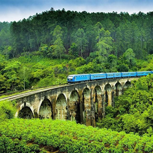 Wildlife Photography Tours