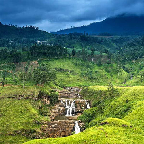 Wildlife Photography Tours