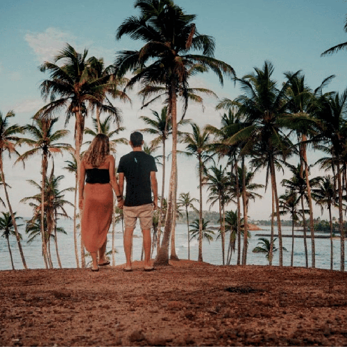 Honeymoon Tour Packages in Srilanka